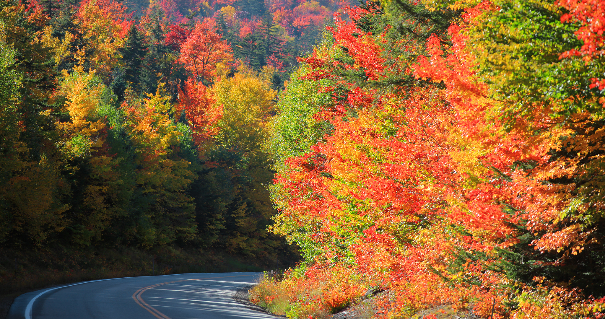 Scenic Kancamagus highway passes through White Mountain National Forest