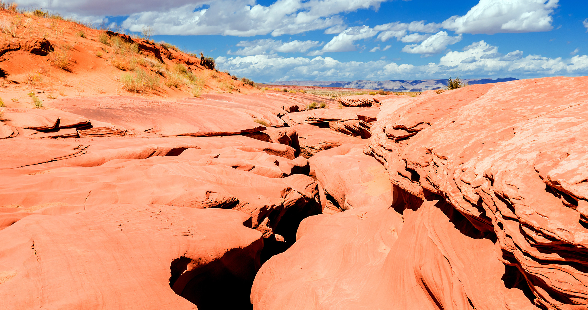 Tuolumne Meadows in Yosemite